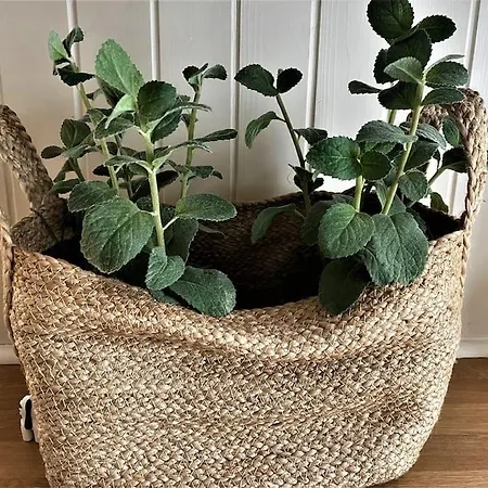 Victorian Splendour * York