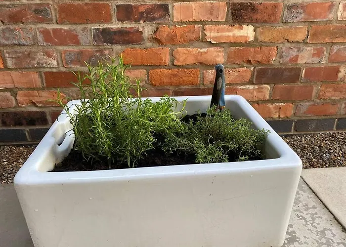 Victorian Splendour York