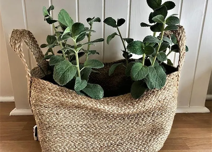 Victorian Splendour * York